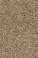 Ковролин AW Vivendi Punch 38 фото 1 | FLOORDEALER